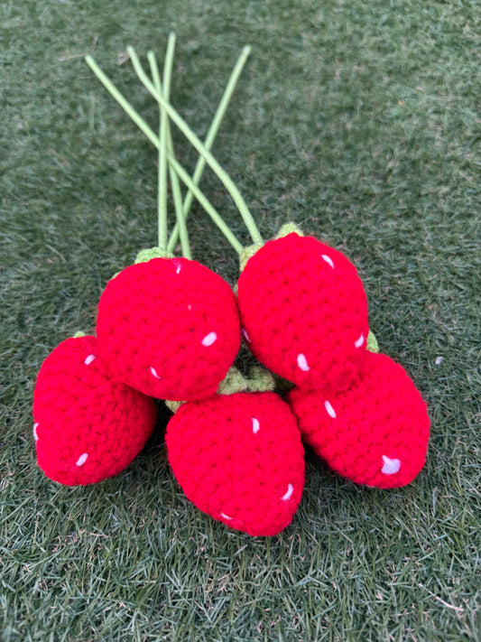 Strawberry Daisy Crochet Flowers 🌼